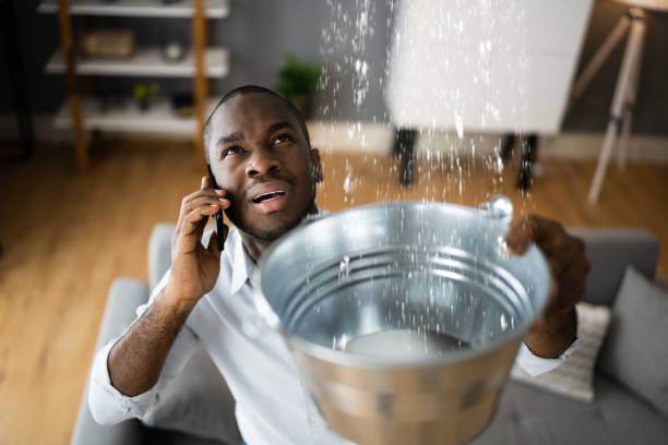 Best 24-hour water damage restoration  in , HI