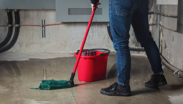  , HI Water damage restoration Pros