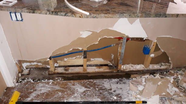 Best Flooded house restoration  in , HI