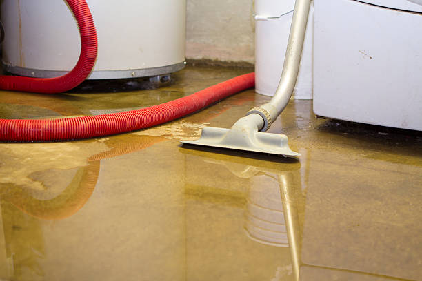 Best Water damage restoration experts  in , HI