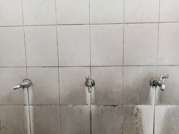 Best Water damage restoration process  in , HI