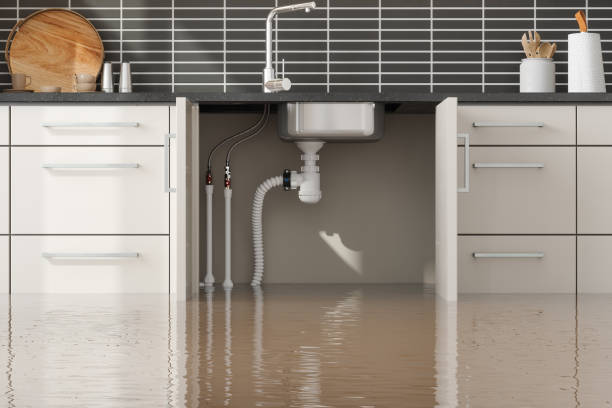 Best Local water damage restoration  in , HI