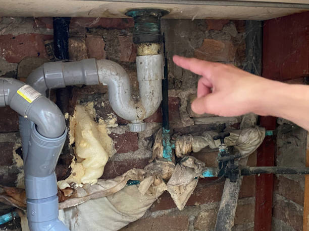 , HI Water damage restoration Pros