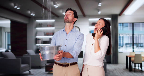 Best Commercial water damage restoration  in , HI